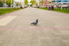 ЖБИ Плитка
